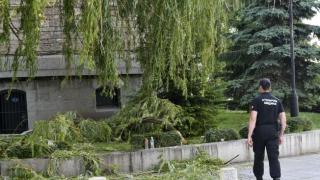 Сигнал до БЛИЦ! Клон падна върху главата на мъж пред църквата "Света Неделя" в София (СНИМКИ)