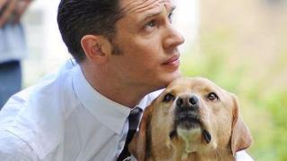 Голяма звезда от Холивуд потъна в скръб заради неочакваната смърт на... кучето си!