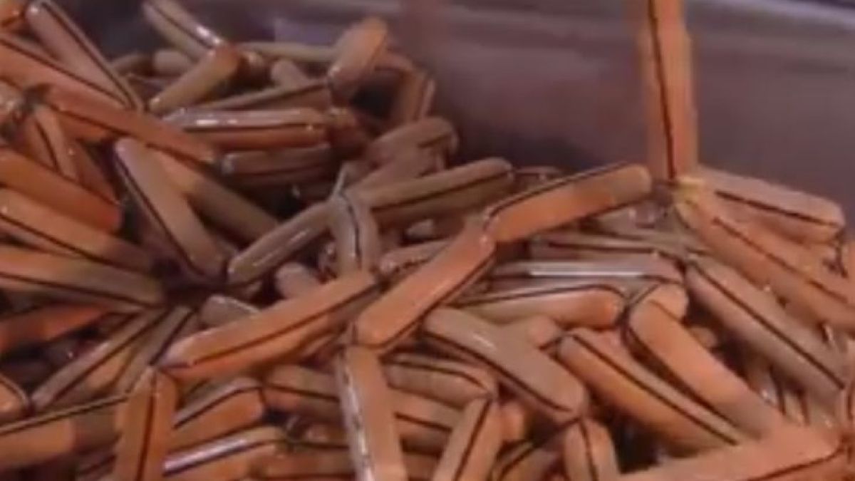 Верни ли са градските митове,  ВИДЕО разкрива истината как се правят кренвирши 