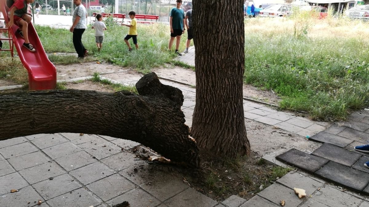 Варненци изтръпнаха от тази случка насред детска площадка (СНИМКИ)