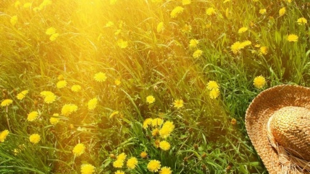 Месечен хороскоп за юли - 4 зодии ще бъдат щастливи! Късметът ще огрее и на тяхната улица най-после!