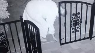 В тъмното: Домакиня обърка змия с играчка, но го разбра твърде късно  и... (ВИДЕО)