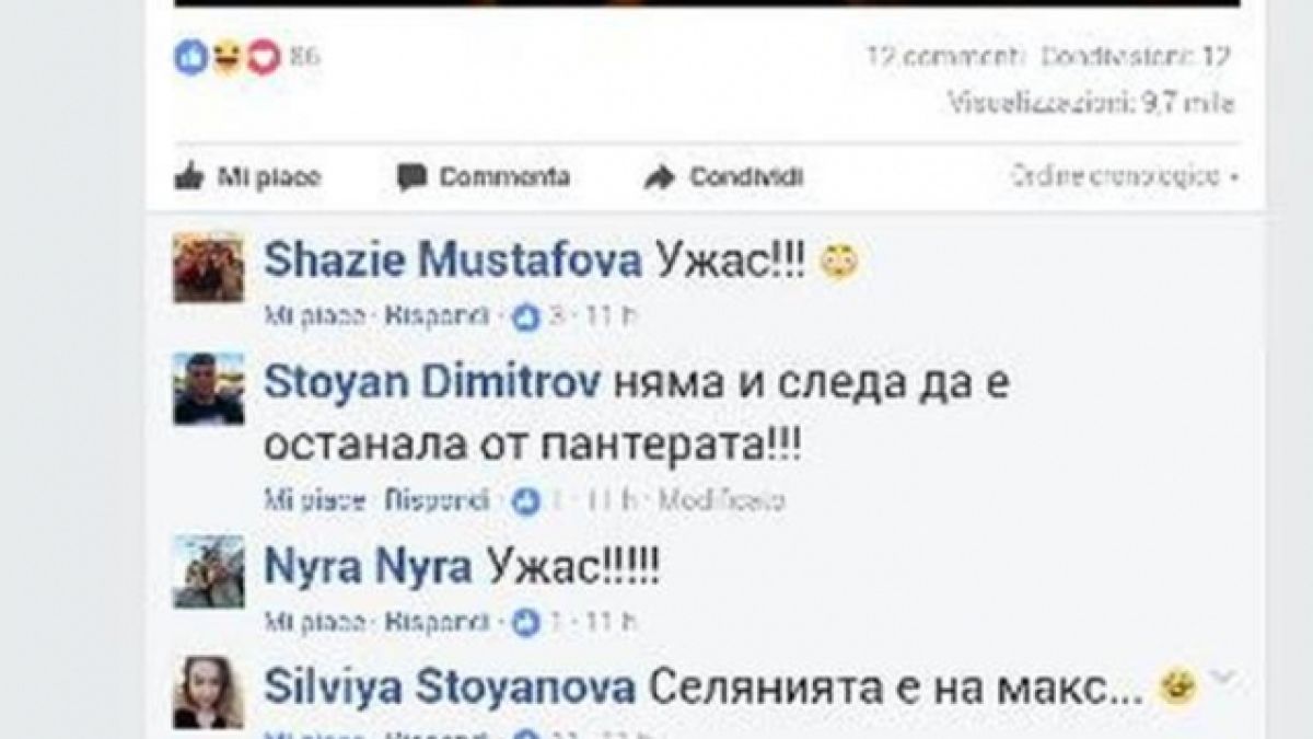 Галена стана за мезе в социалните мрежи, сравниха я с див тюлен и... (СНИМКА)