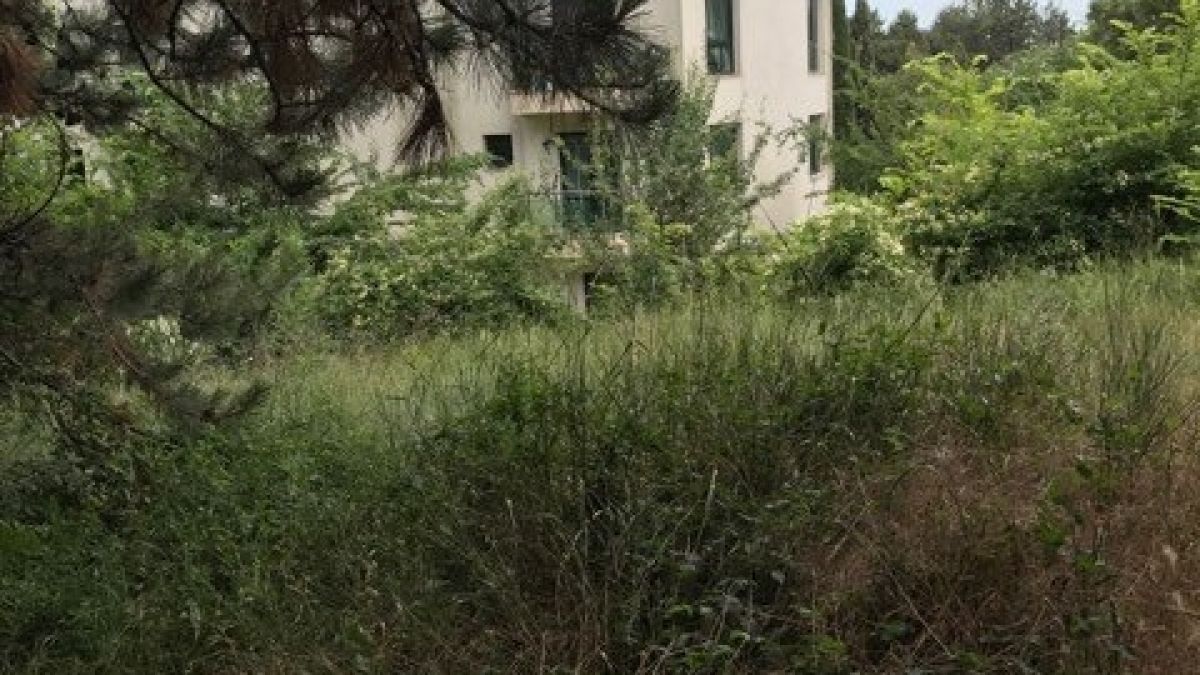 Ужас във Варна: Камион се катурна в пропаст (СНИМКИ)