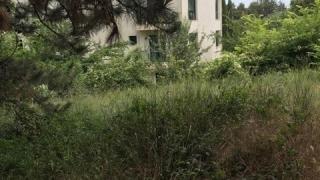 Ужас във Варна: Камион се катурна в пропаст (СНИМКИ)