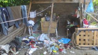 Диньо Мивката се завърна, пак тормози цял квартал 