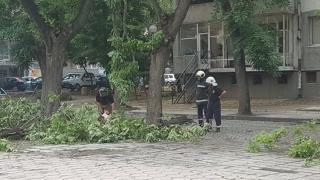 Страшно природно явление е причинило погрома в Пловдив