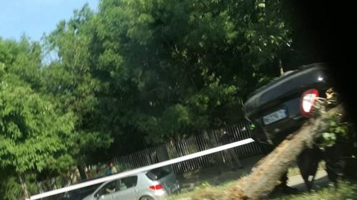 Извънредно и първо в БЛИЦ: Адско меле на бул. "Цар Борис III", кола виси на дърво (СНИМКИ) 