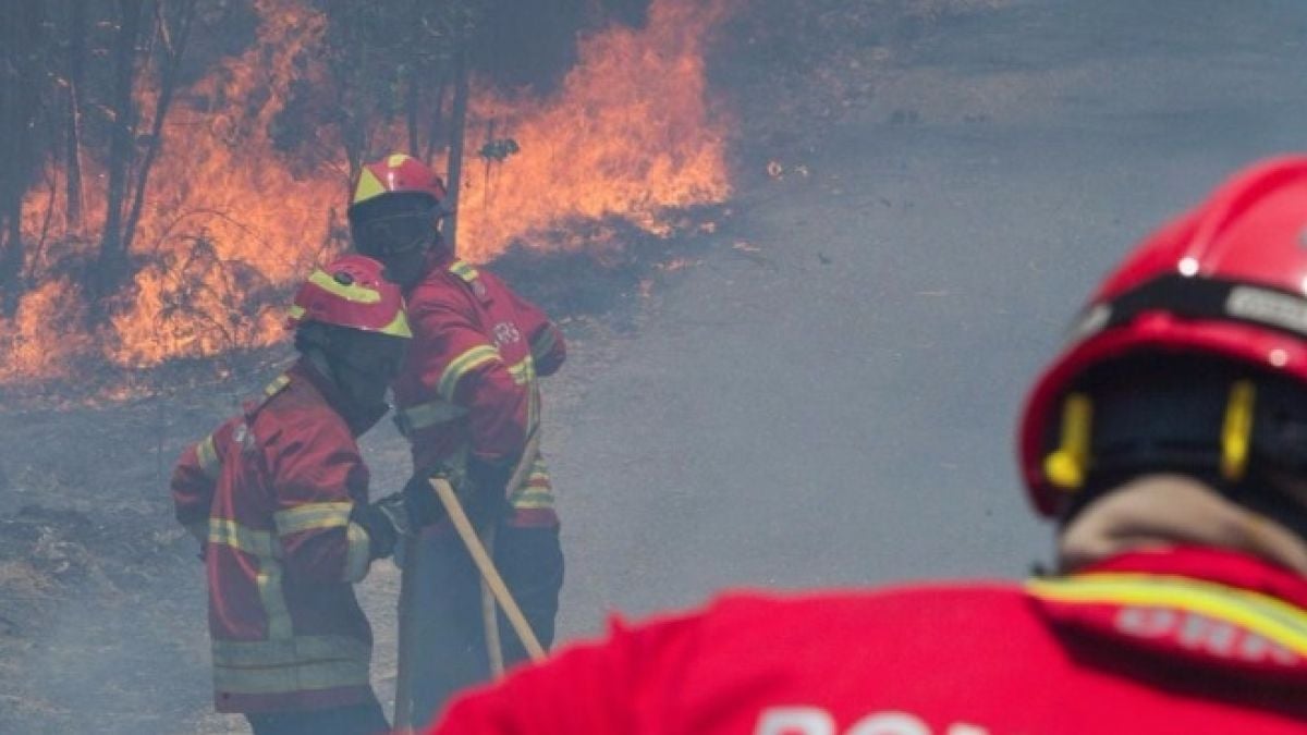 Голяма трагедия в Пакистан