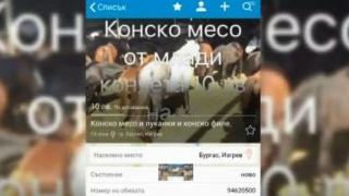И таз добра! Бургазлийка продава месо от жребчета по Интернет (СНИМКА)