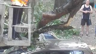 Кошмарен инцидент в Пловдив по чудо се размина без жертви (СНИМКИ)