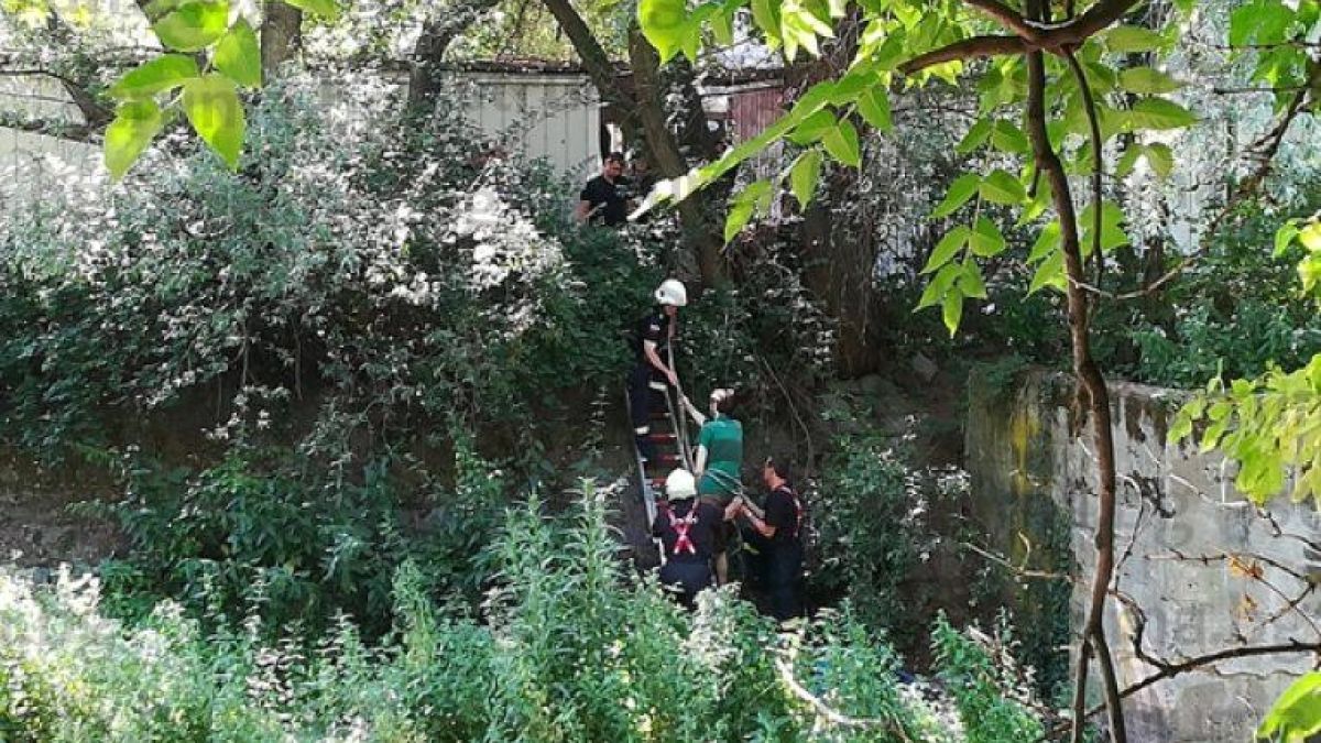 Паника в Перник! Невменяемият Радко падна в коритото на Струма
