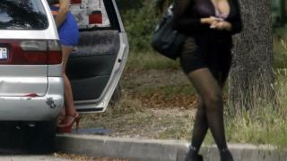 Българи превърнаха в бордей гората в Гърция 