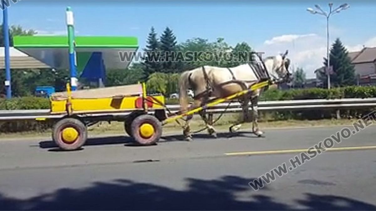 Хасково пропищя от каруцари, каращи като джигити! (ВИДЕО)