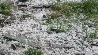 Градушка помля градини в Монтанско, ето какво е положението след стихията във Врачанско