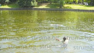 Роми на тумби превзеха перлата на Благоевград! Свинщините, които вършат са безчет (СНИМКИ)