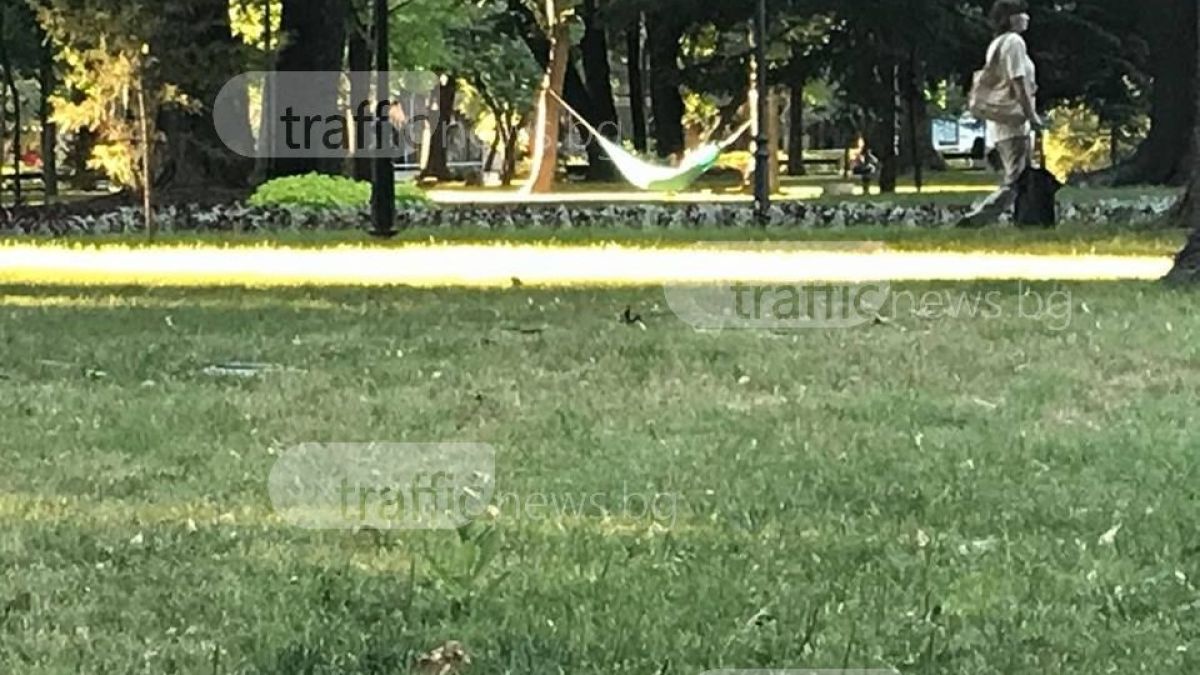 Айляците в Пловдив! Едни полегнаха на хамаци, други… в средата на Главната СНИМКИ