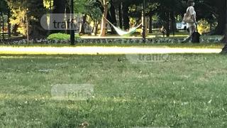 Айляците в Пловдив! Едни полегнаха на хамаци, други… в средата на Главната СНИМКИ