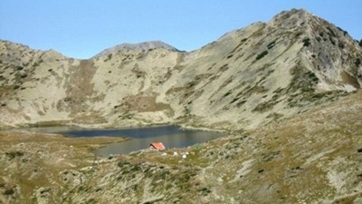Планът за Пирин не предвижда сечи и строителство в парка