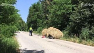 Драмата е пълна и след смъртта на влачената по асфалта с каруца Иванка!