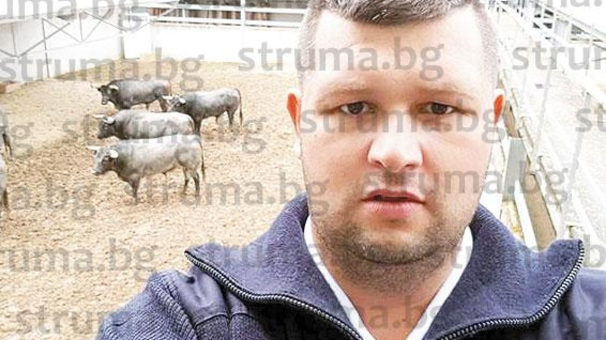Гастарбайтер от сатовчанско село спаси от разярени бикове 4-ма участници в кървавата корида на Памплона (СНИМКИ)