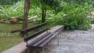 Джебелчани за апокалиптичната гръмотевична буря: Беше за кратко, но ужас! Цели дървета се чупеха, покриви падаха, съсипа града ни! (СНИМКИ)