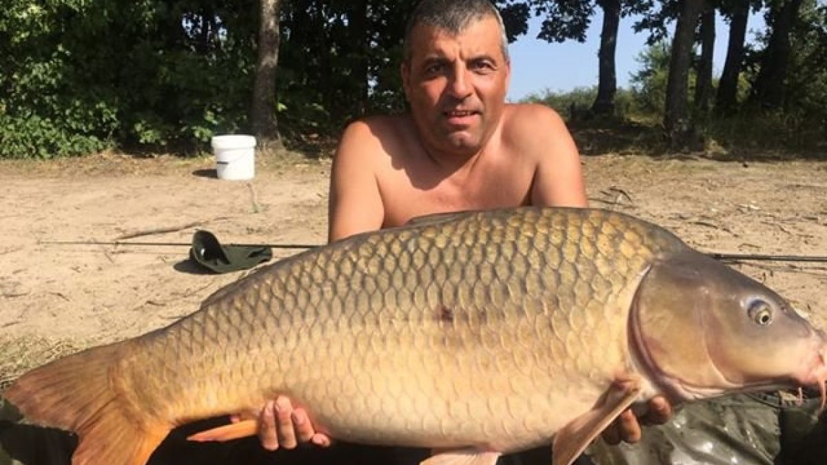 Пламен хвана сом - гигант, би се с него час, докато го извади от реката (ВИДЕО)