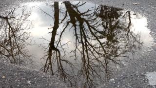 От НИМХ посочиха къде е валяло най-много през последните часове