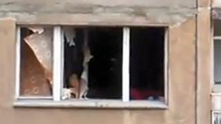 Шофьор оцеля по чудо след адска експлозия в гаража си (ВИДЕО)