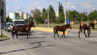 Двойна смърт оплиска с кръв пътя от Велинград за Пазарджик!