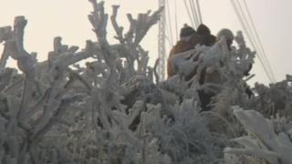 Нещо невиждано от 50 години потресе Бразилия (ВИДЕО)