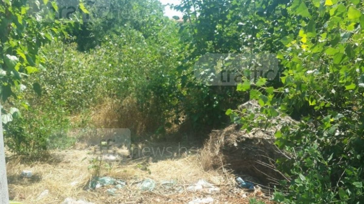 Жителите на Стамболийски искат смъртно наказание за майката, убила бебето си (ВИДЕО)