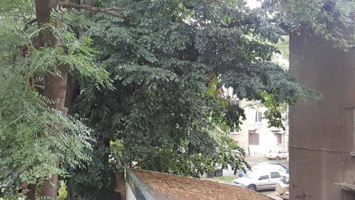 Летен апокалипсис! Стихията "Алфред" е в София, небето се продъни и за секунди стана страшно! (СНИМКИ/ВИДЕО)