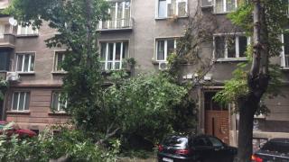 След мълниеносната буря: Огромни поразии в София! (ВИДЕО/СНИМКИ)
