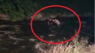 Ексклузивно ВИДЕО в БЛИЦ с подвига на безстрашния пожарникар, който спаси 10 деца тази нощ край с. Варвара