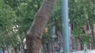 Няма ли край?! Мъж се съблече чисто гол и в центъра на Пловдив (СНИМКИ 18+)