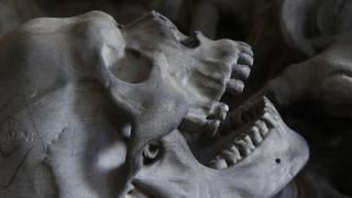 Би Би Си: Учени обявиха, че по "Спиралата на смъртта" може да се разбере кога ще умре човек