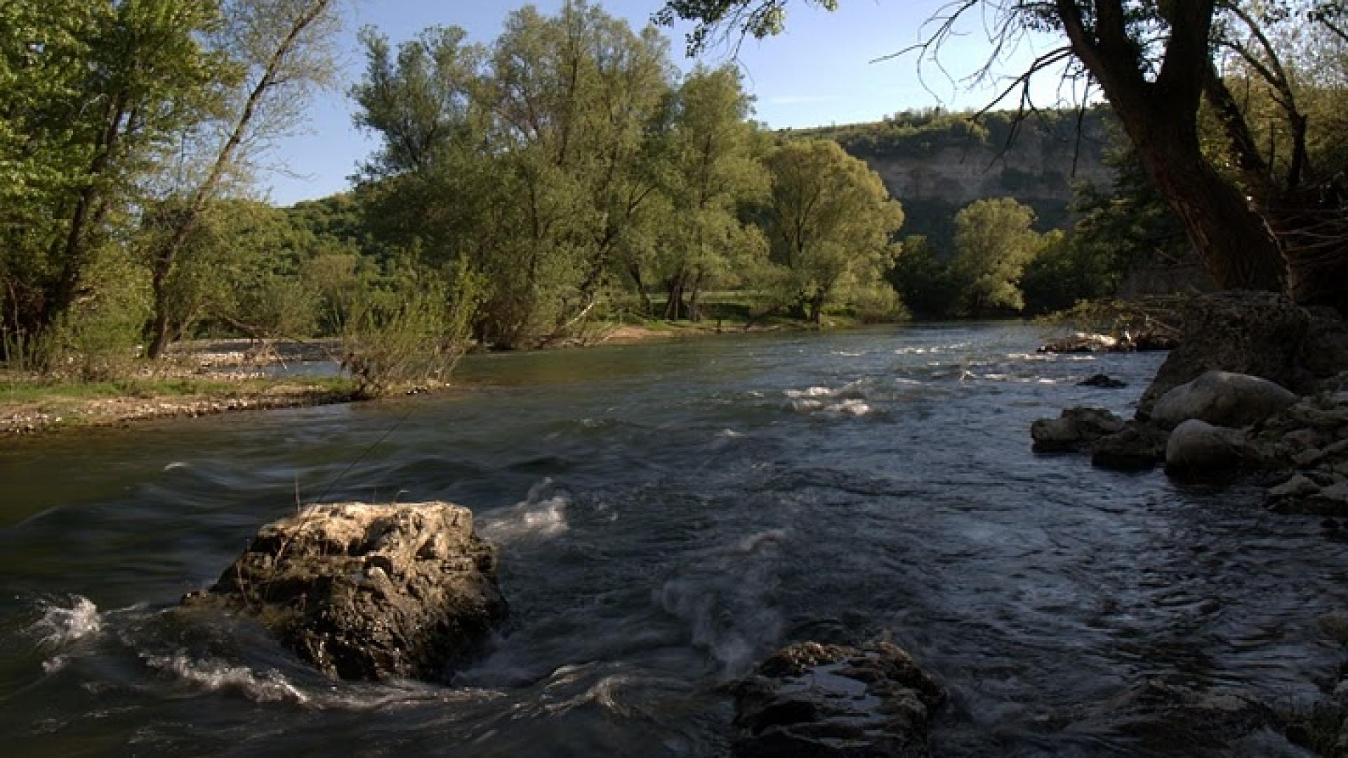 Жестока трагедия разтърси село Комарево