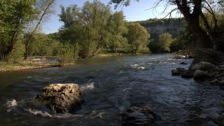 Жестока трагедия разтърси село Комарево