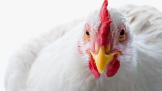 Тази реклама на KFC взриви мрежата и изправи веганите на нокти (ВИДЕО)