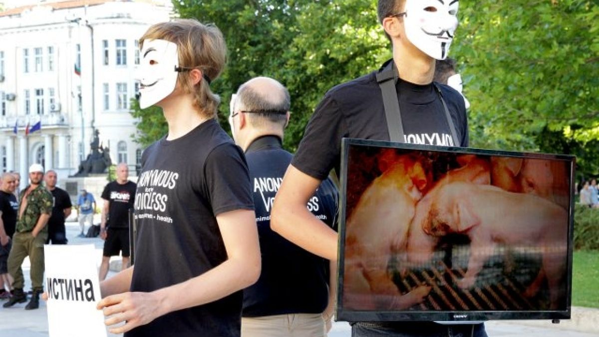 Вегани: Ядете пилета, които могат да броят до 10, прасетата изпадат в депресия