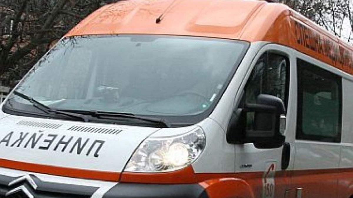 Зловеща находка в Гулянци