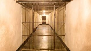 Смешно наказание за кръвожадно зверство във Вресово
