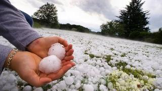 Застрахователи с поредна лоша новина за джоба на българина: При данък "Градушка" ще поскъпнат всички...   