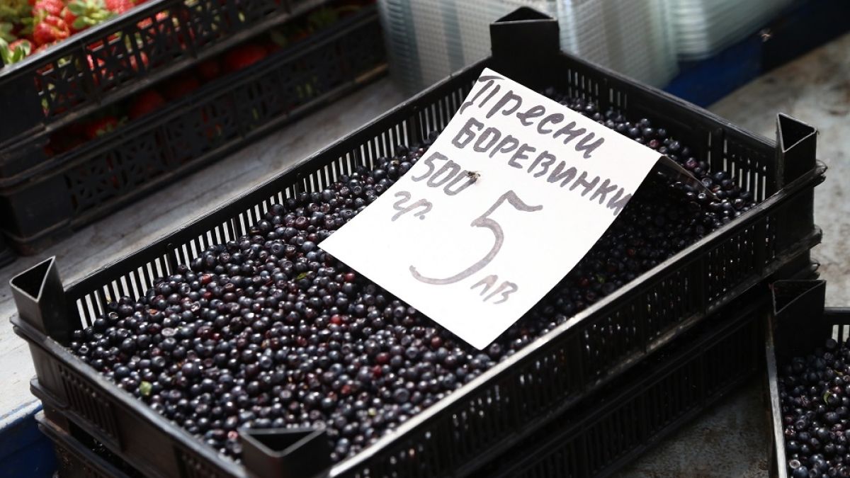 Боровинките са цяр, помагат за...