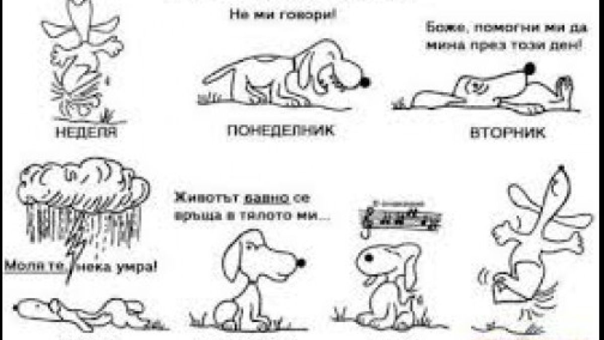 Защо никога не бива да връщате пари във вторник, не пътувайте в сряда, а в събота...