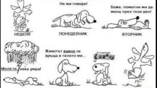 Защо никога не бива да връщате пари във вторник, не пътувайте в сряда, а в събота...