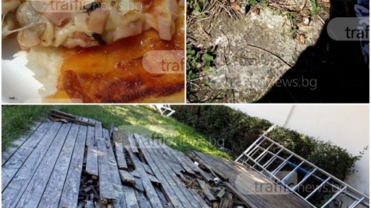 Те отидоха да се забавляват на аквапарк в Пловдив и си купиха пица, но намериха в нея нещо много гадно (СНИМКА)