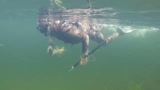 Вижте как Путин лови щуки под вода! (ВИДЕО)