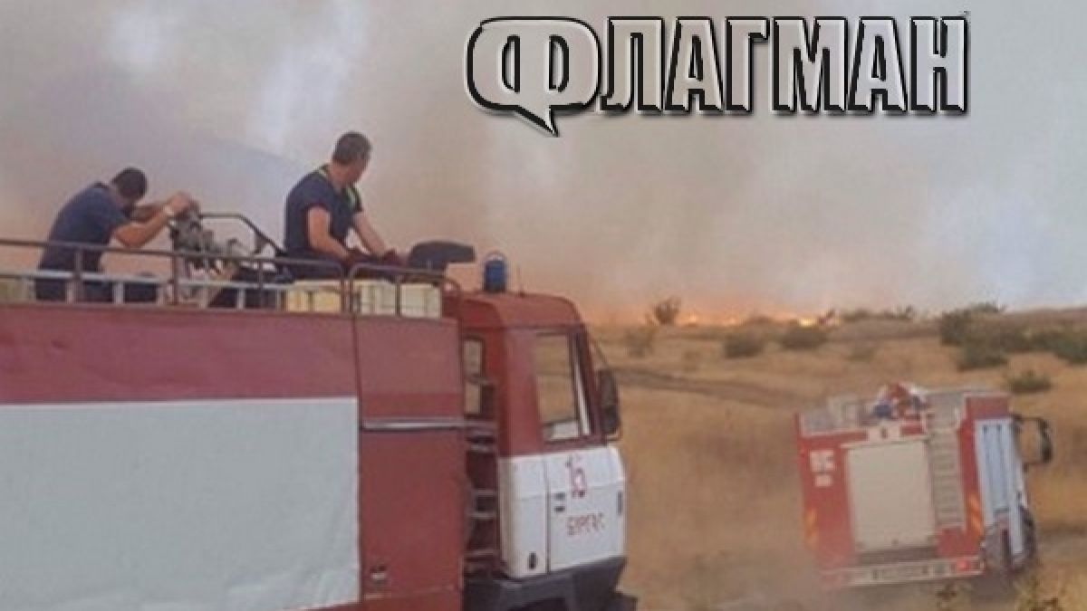Добри новини от Бургас!